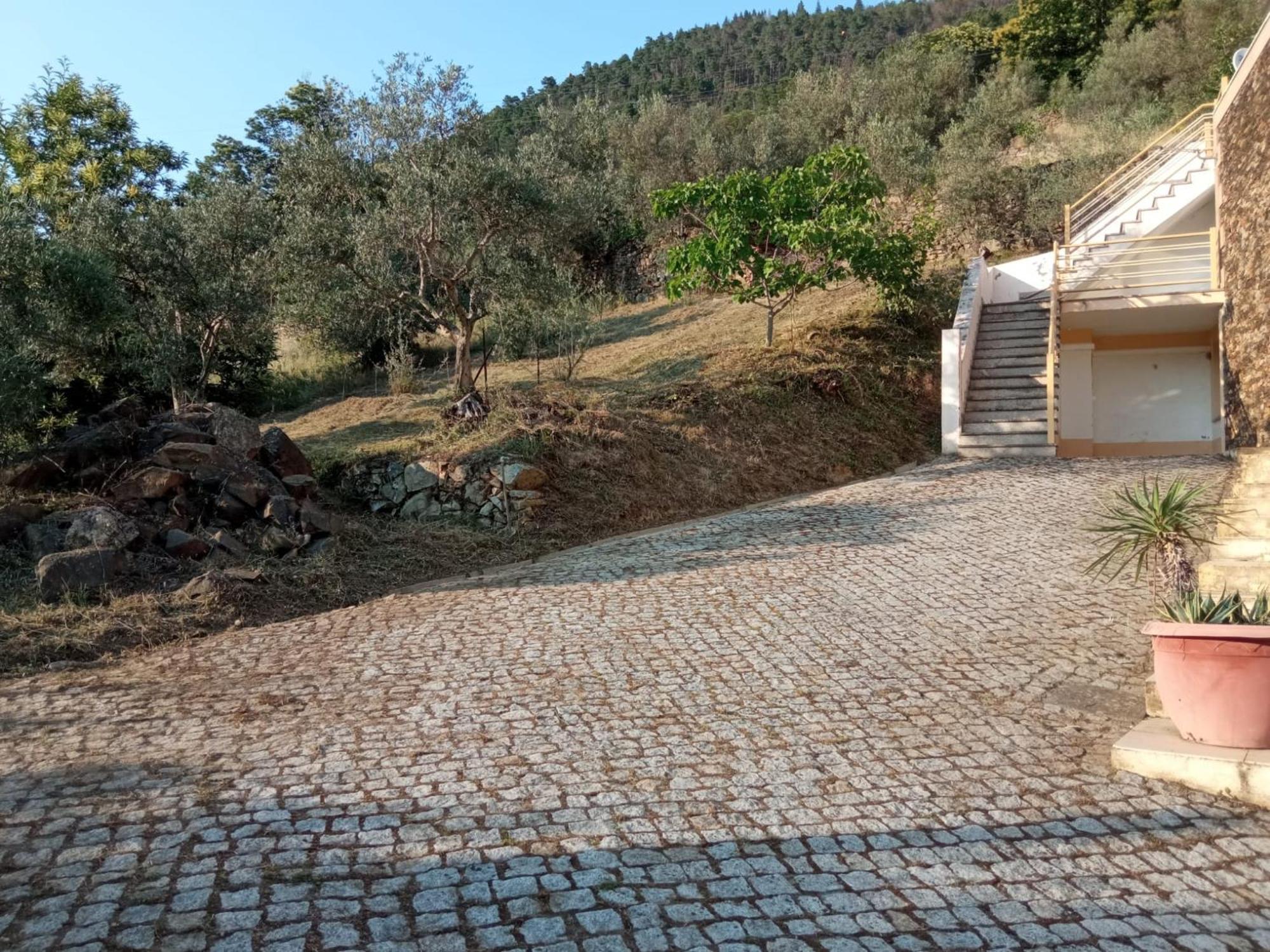Casa Das Oliveiras - مانتيغاز المظهر الخارجي الصورة