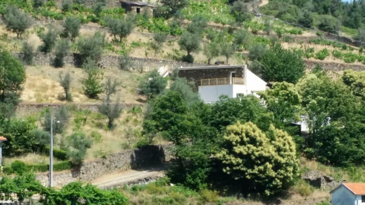 Casa Das Oliveiras - مانتيغاز المظهر الخارجي الصورة